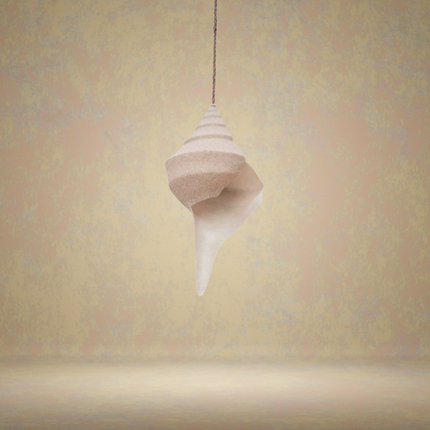 The Shell Pendant