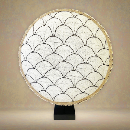 Shield Shell Scallop