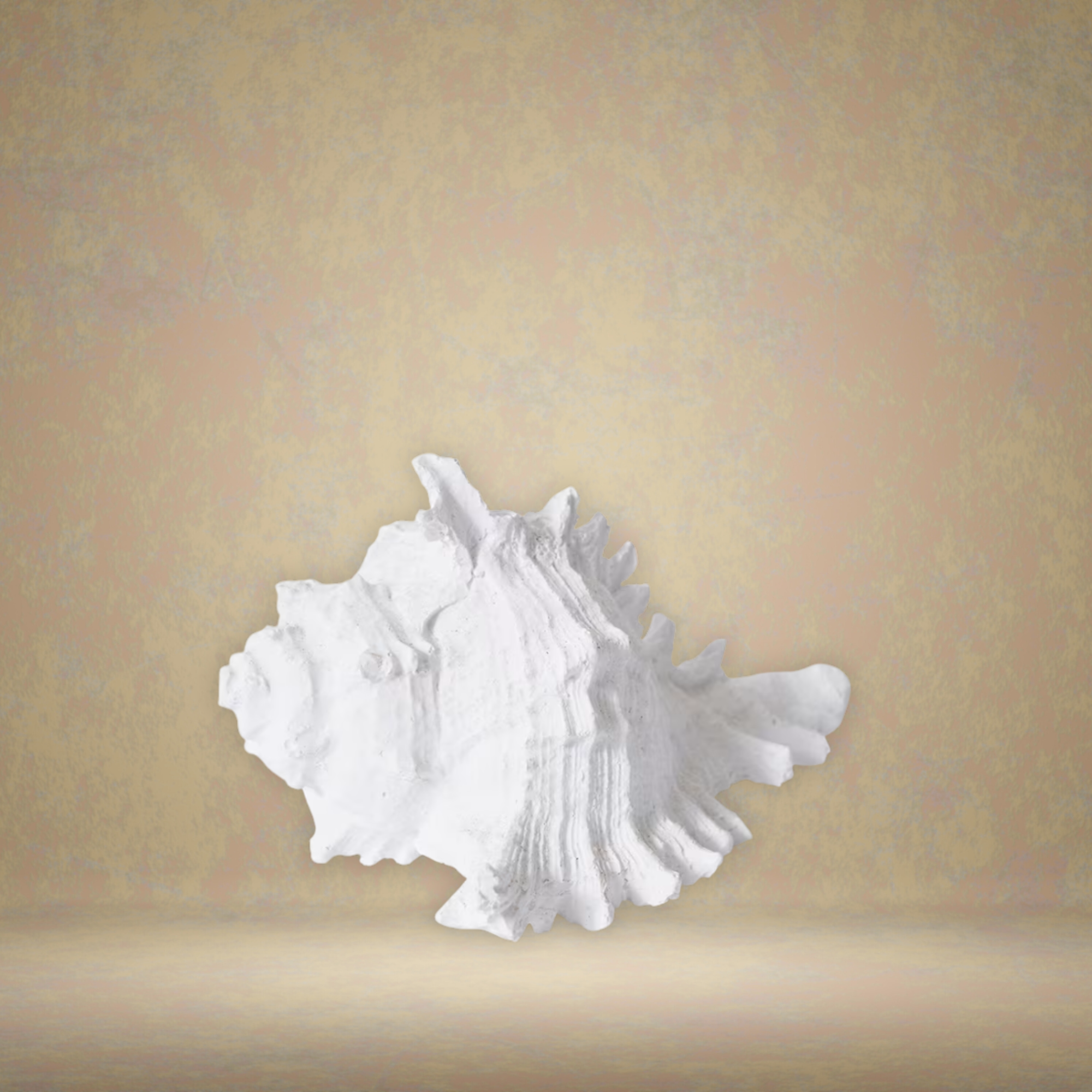 Murex Shell Sculpture