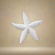 Starfish Royal
