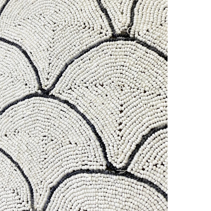 Shield Shell Scallop