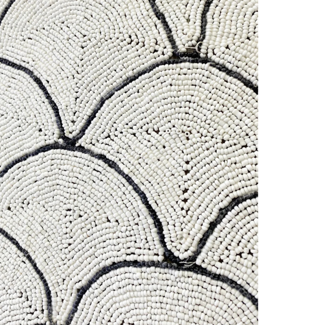 Shield Shell Scallop