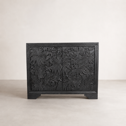 Castaway 2 Door Cabinet - Black